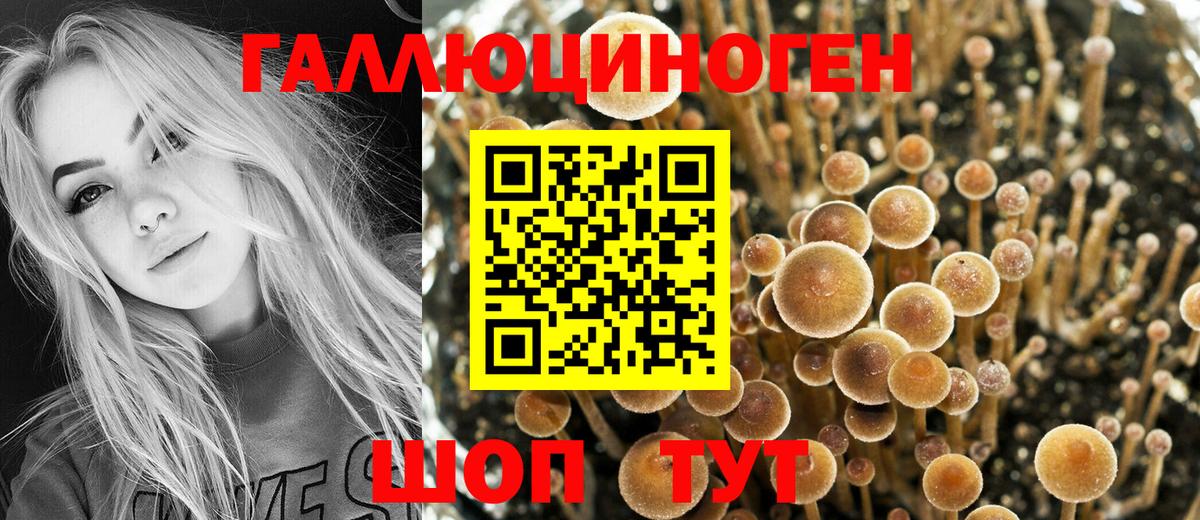 Псилоцибиновые грибы мухоморы  Вход с VPN  Шали  Псилоцибиновые грибы Psilocybine cubensis 